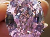 В Женеве продадут самый большой розовый алмаз, каждый карат которого стоит $1,5 млн