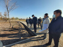 В Бишкеке строится новый парк «Ынтымак – вторая очередь»