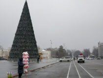 Сегодня зажгутся огни на главной новогодней елке в Бишкеке