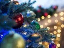 В центре Калининграда украли новогоднюю елку