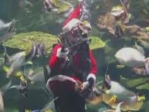 Санта-дайвер поздравляет с Рождеством гостей аквариума в Бангкоке