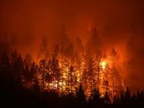 Лесные пожары продолжают бушевать в Калифорнии