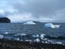 На Северном полюсе зафиксировано рекордно быстрое потепление