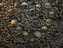 Древнюю башню из человеческих черепов обнаружили в Мехико
