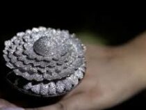 В Индии в кольцо вставили 12 тысяч бриллиантов