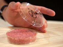 Власти Сингапура впервые в мире разрешили продажу искусственного мяса