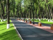 В бишкекских парках появятся датчики для измерения загрязнения воздуха