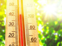2020 год признан самым жарким за всю историю метеонаблюдений
