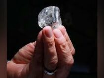 В Африке добыли «исключительный» алмаз весом 378 карат