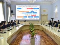 В Кыргызстане озвучили итоги работы комиссии по коронавирусу