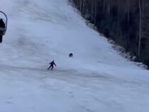 Погоня медведя за лыжником в Румынии попала на видео