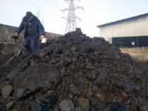 Госэкотехинспекция проверила на радиоактивность уголь, который продается в Бишкеке