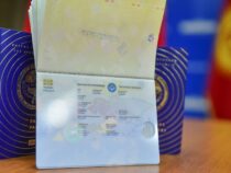 В конце февраля прибудет первая партия биометрических загранпаспортов