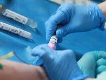 В ВОЗ спрогнозировали сроки завершения пандемии коронавируса