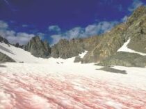 Склоны альпийских курортов окрасились в оранжевый цвет