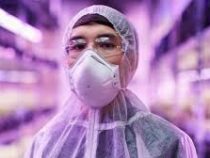 Во Франции создали убивающую коронавирус маску