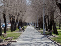 До рекордных +25 градусов прогрелся воздух Бишкеке 18 февраля