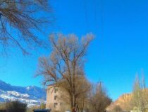Февраль в Бишкеке будет теплым