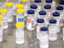 Минздрав ведет переговоры о поставке российской вакцины Спутник-V