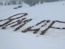 В Башкирии тысяча лошадей выстроилась в надпись «8 марта»