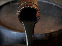 Правительство   просит Казахстан и Узбекистан о поставках сырой нефти