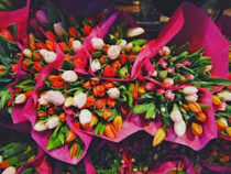 Какие цветы не стоит дарить женщинам 8 Марта: советы врачей