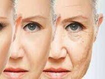 В Стэнфорде выявили три этапа старения кожи