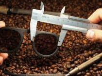 Оправу для очков  из кофе создает украинский предприниматель
