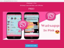 Пользователей WhatsApp обманывают розовой темой