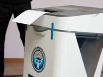 Бишкекская ТИК пересчитает на семи участках голоса по референдуму