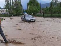 В Аксыйском районе продолжается ликвидация последствия паводка