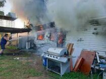 Мыши сожгли дом семьи в Австралии