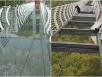 Турист застрял на разбитом стеклянном мосту в Китае