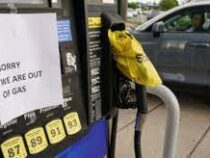 Цена бензина в США достигла рекордного за 7 лет уровня