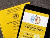 Сертификаты вакцинации в ЕС начнут внедрять с середины июня