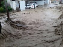 В Ала-Букинском районе селевой поток затопил дома и разрушил дороги