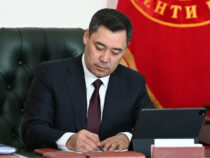 Повторные выборы депутатов в горкенеши Бишкека, Оша и  Токмока назначены на 11 июля