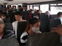 Автобусы «Шумкара» бесплатно перевозят бишкекчан