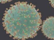 Американские специалисты нашли доказательства искусственного происхождения коронавируса