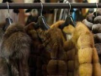 Израиль стал первой страной в мире, запретившей продажу меха в модной индустрии