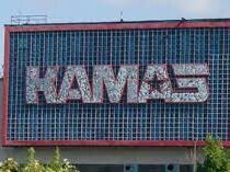 Курьез: Рабочие КАМАЗа покрасили асфальт к приезду важного чиновника из Москвы