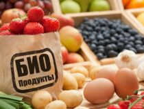 Кыргызстан получил награду в сфере производства органической продукции