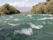 Кыргызстан потерял 800 га земли из-за разлива реки Чу