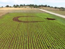Турция намерена реализовать сельскохозяйственный проект в Баткенской области