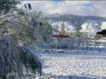 На села Чон-Алайского района обрушился снегопад