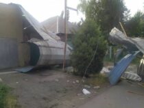Мэрия Бишкека озвучила последствия сильного ветра