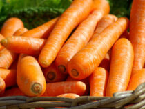 В Бишкеке резко выросли цены на морковь