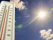 Аномально высоких температур до конца августа в Бишкеке   не прогнозируется