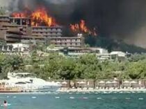 100 тыс. гектаров леса выгорело в турецком Мармарисе
