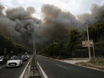 В северных пригородах Афин несколько поселений эвакуируют из-за лесных пожаров